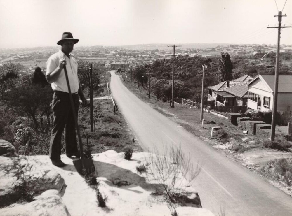 Ganger Thompson in Frenchs Forest Road, Seaforth,  7th October 1949