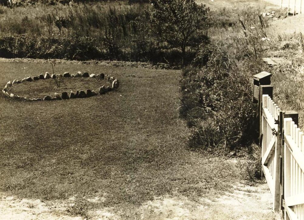 Garden of Mr Harvey, North Harbour, Manly, 20th January 1938