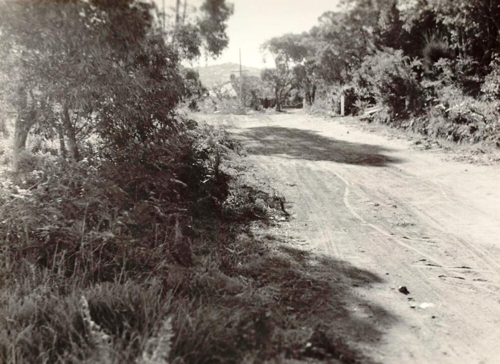 Gordon Street looking north west near electricity substation, Balgowlah Heights, 29th June 1946