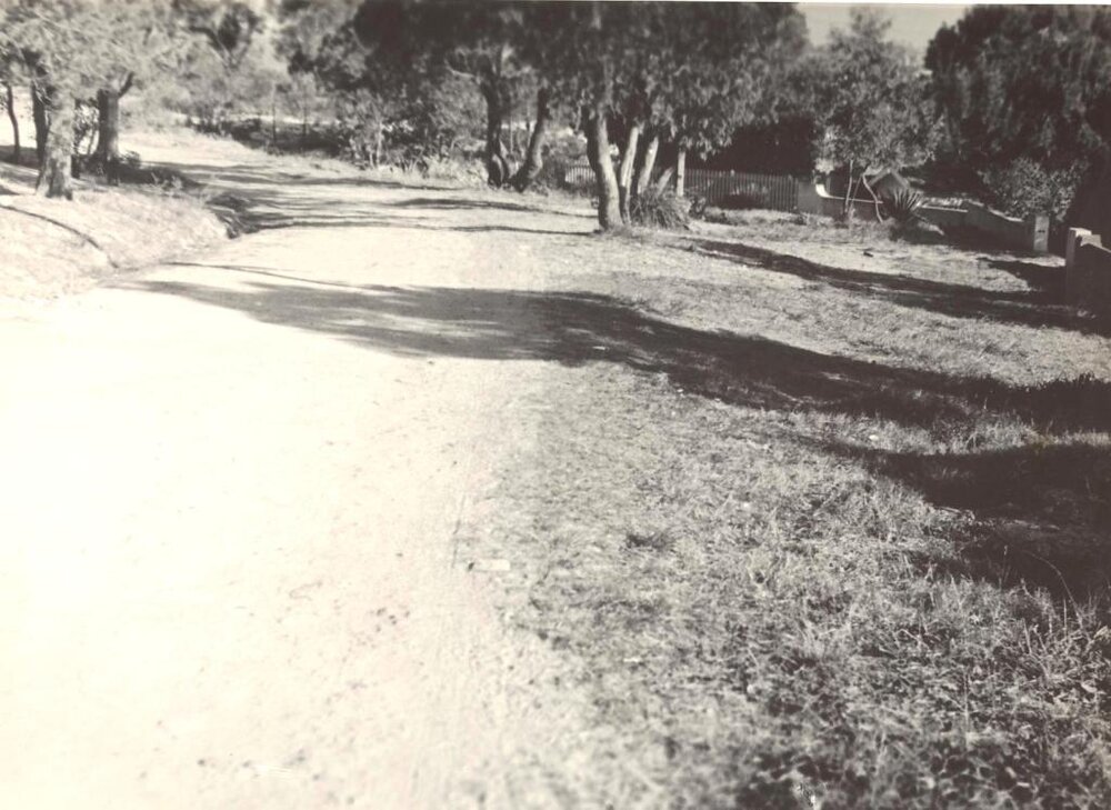 Gordon Street looking south, Balgowlah Heights, 29th June 1946