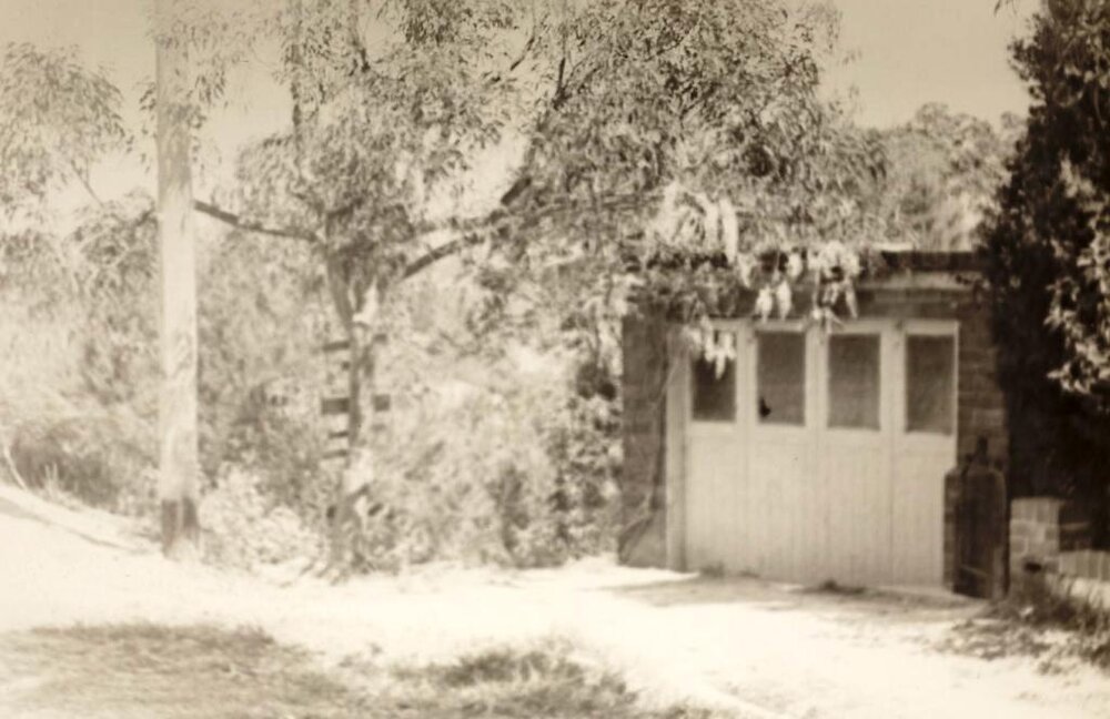 Gordon Street, Balgowlah Heights, 14th September 1948