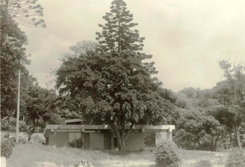 Guide Hall and kindergarten, Ivanhoe Park, Manly, 1964