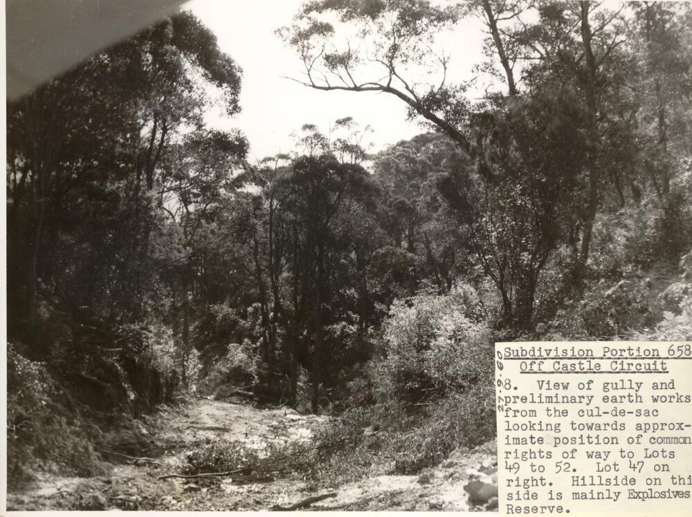 Gully at Castle Circuit, Seaforth, 27th September 1960