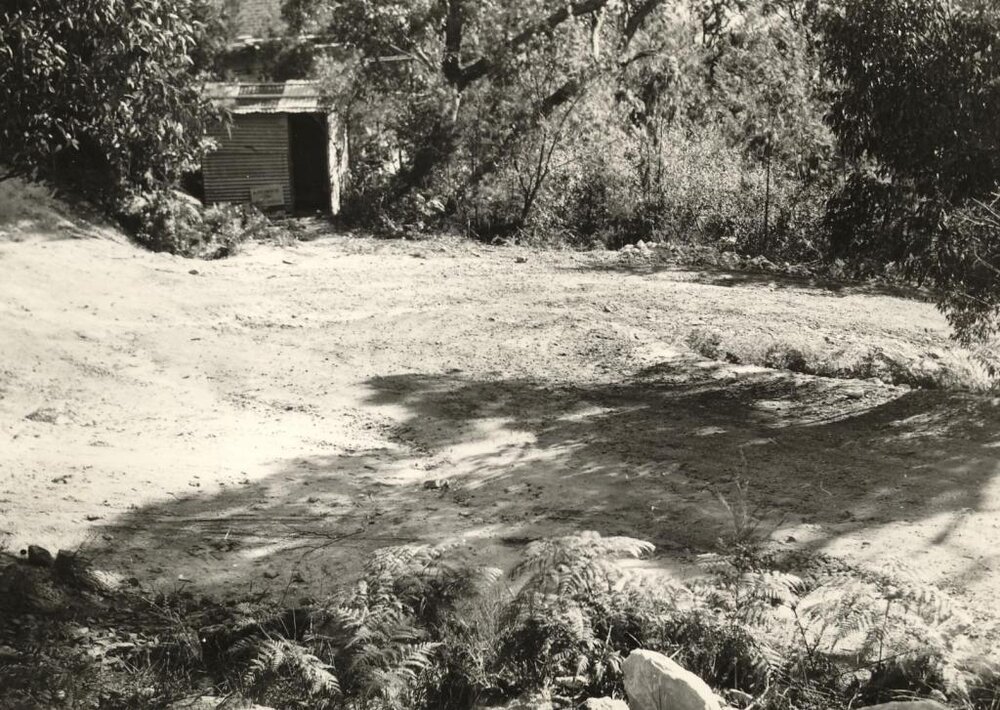 Shed, Gurney Crescent, Seaforth, November 1955