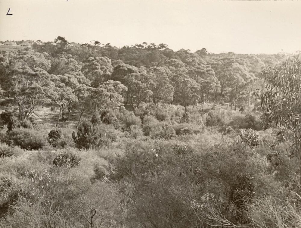 Housing Estate land north Seaforth, 20th June 1947