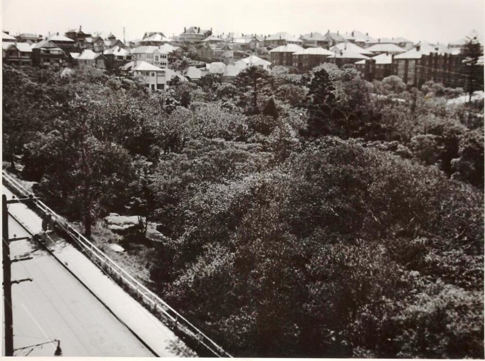 Ivanhoe Park in Manly, February 1952