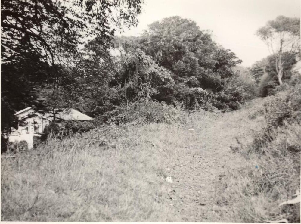 Ivanhoe Park, Manly, February 1952