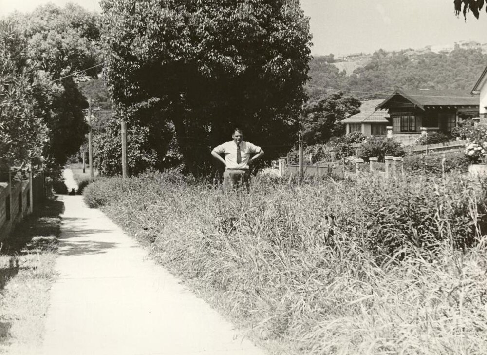 Jackson Street near White Street, overgrown grass, Balgowlah, 23rd January 1948