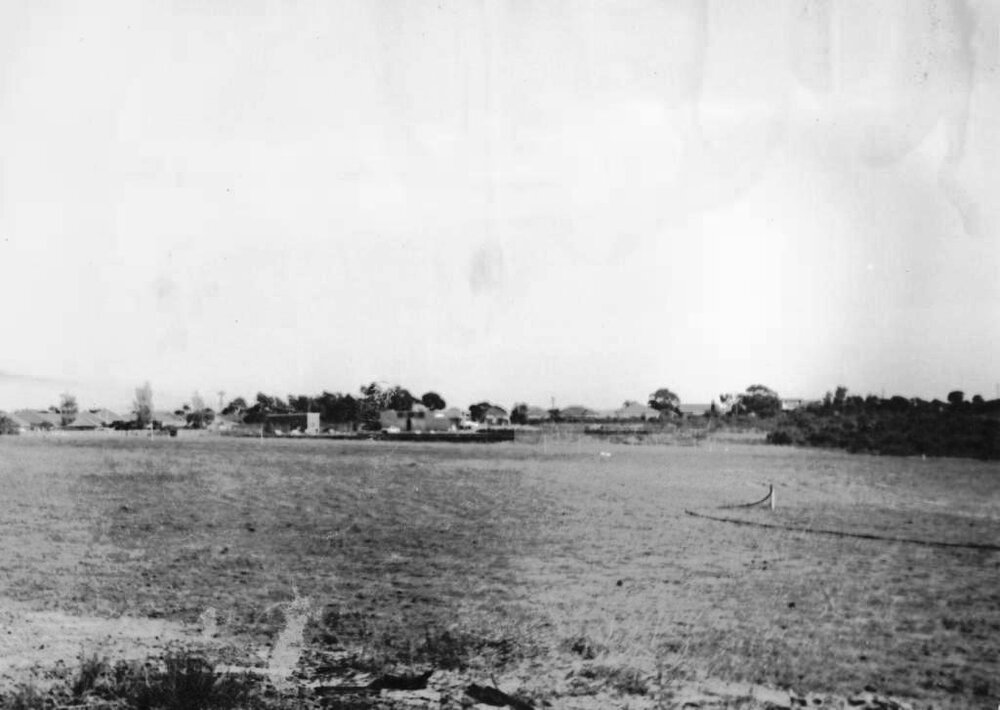 Judith Street, near Bantry Reserve, Seaforth, 1964