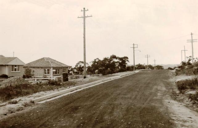 Jellicoe Street north side, Balgowlah Heights, mid 1954