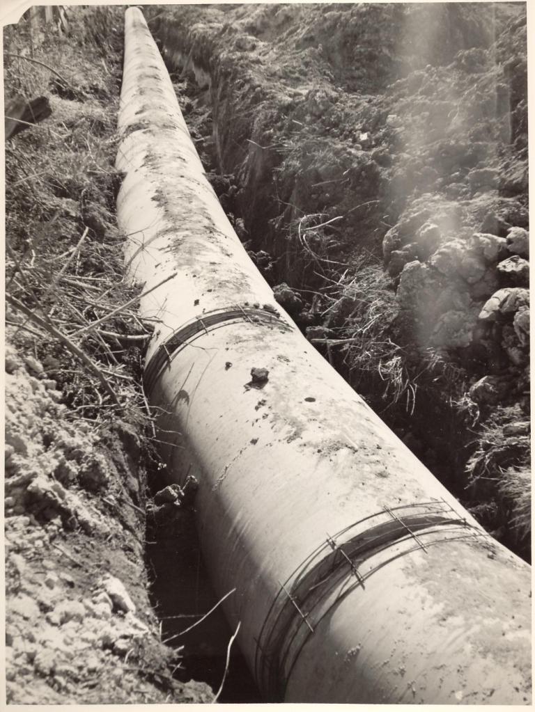 Kenneth Road 48 inch pipeline, Manly Vale, August 1954