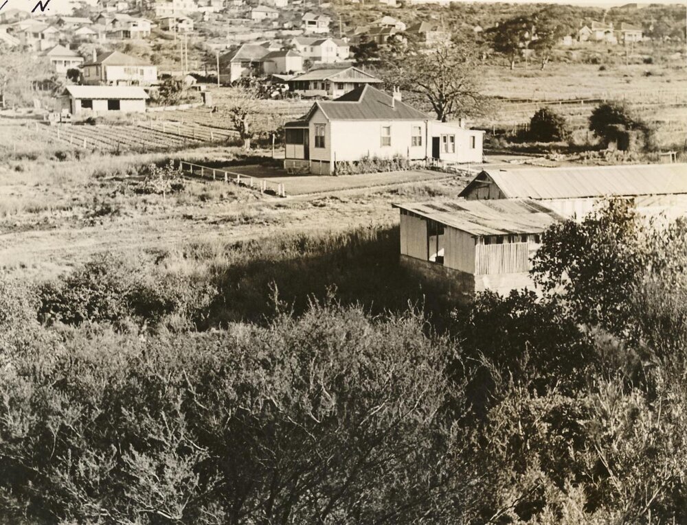 Land near Brook Road, Seaforth, 30th June 1947