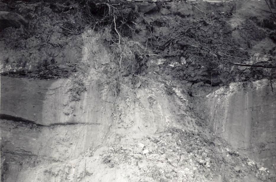 Land slip Castle Circuit, Seaforth, 29th March 1963