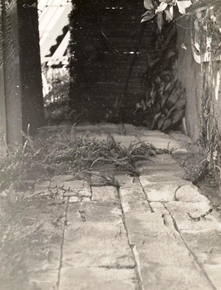Lauderdale Avenue property, Fairlight, 12th March 1941