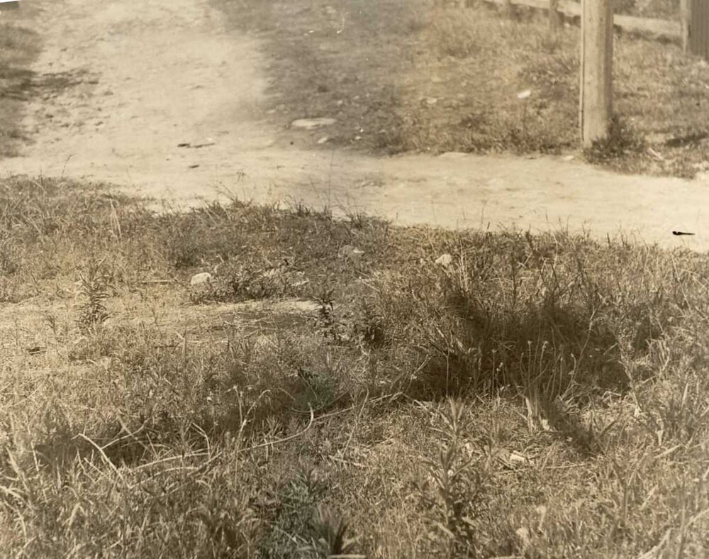 Lister Lane, corner Beach Street, Balgowlah, 7th January 1939