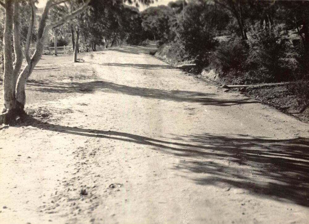 Looking north, Gordon Street, Balgowlah, 29th June 1946