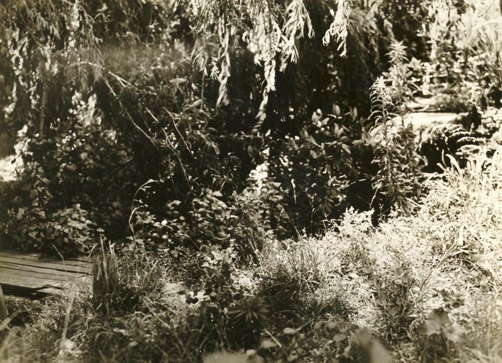 Lot 23 North Harbour, Balgowlah, 20th January 1938