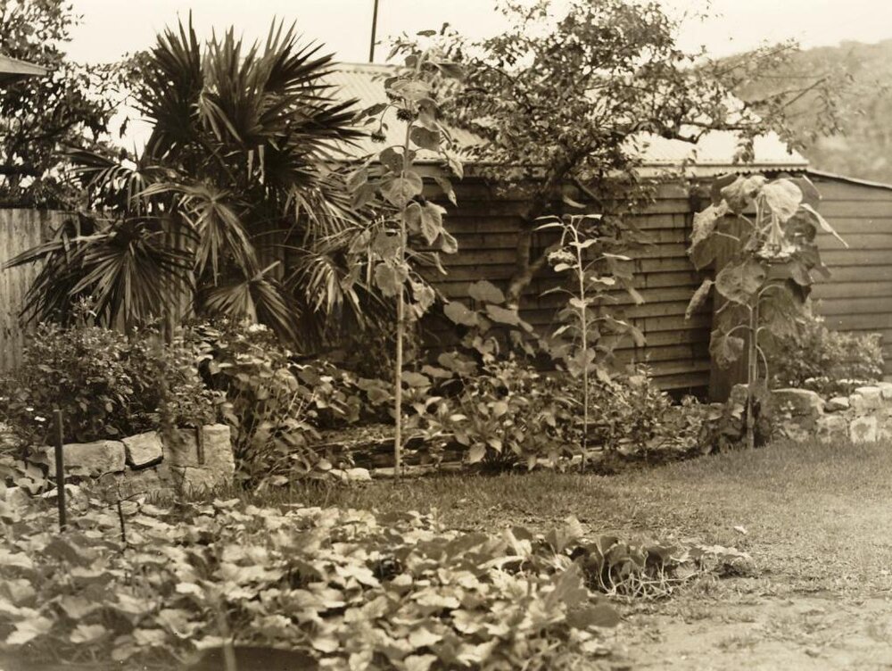 Lots 18 and 19 North Harbour, Balgowlah, 20th January 1938