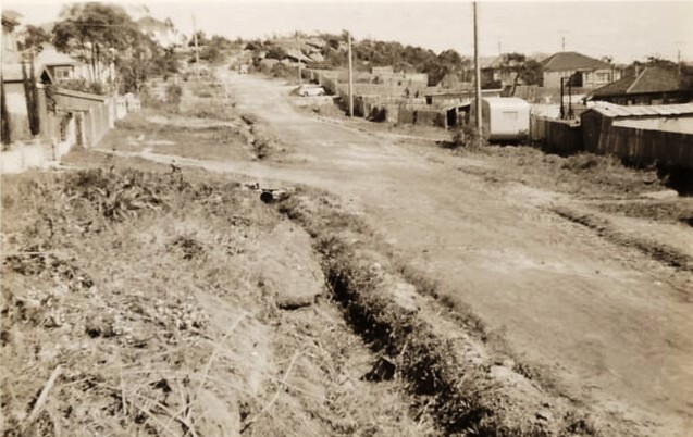 MacMillan Street, undeveloped verge, Seaforth, in October 1952