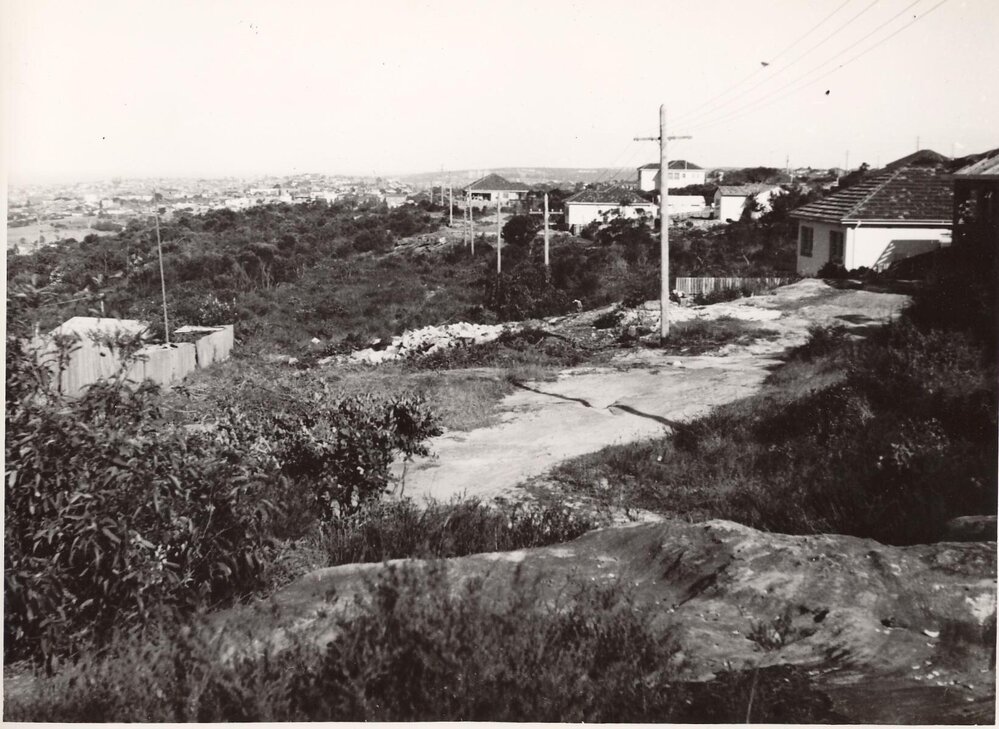 MacMillan Street showing houses, Seaforth, c1952