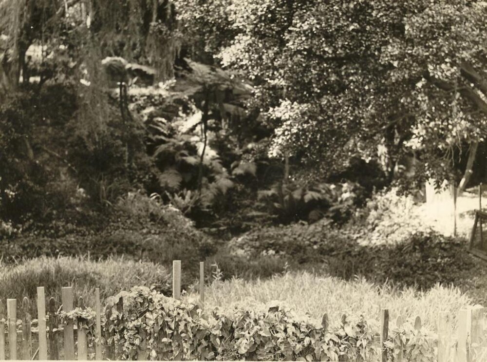 Mr Fussell's lot North Harbour, Balgowlah, 20th January 1938