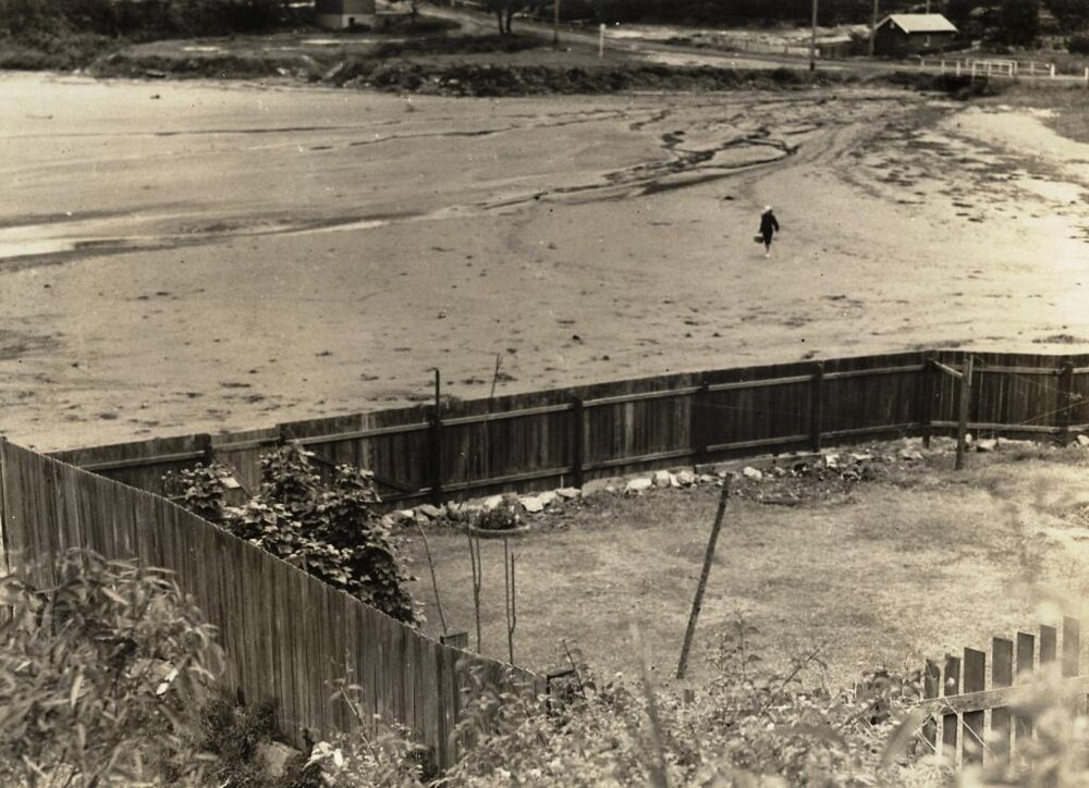 Mr Verrall's yard North Harbour, Balgowlah, 20th January 1938