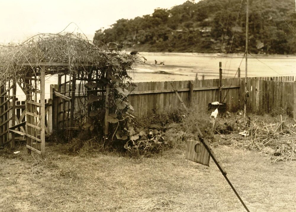 Mr Stafford's yard, North Harbour, Balgowlah, 20th January 1938