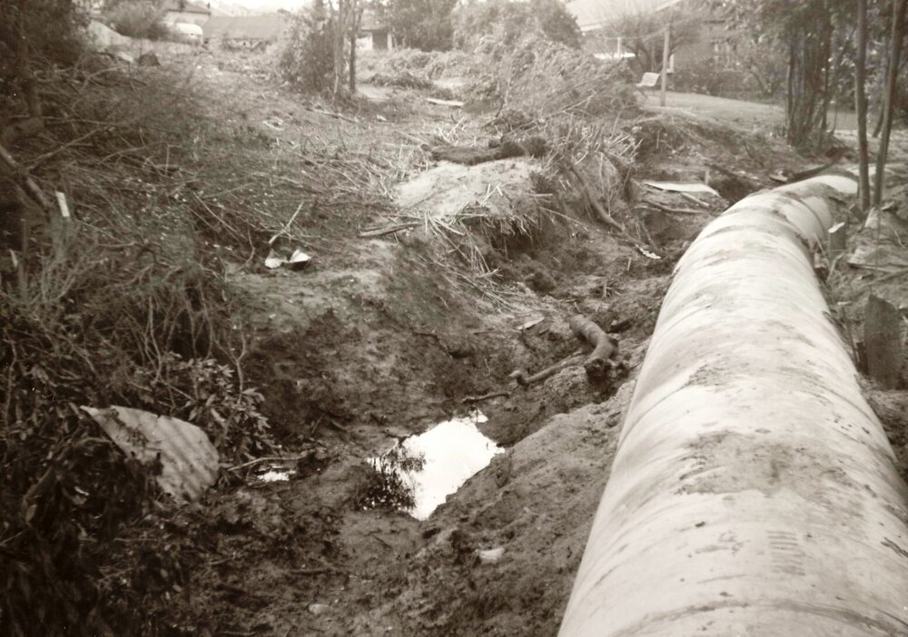 New Street, Balgowlah Heights, May 1950