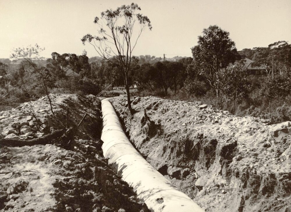 New Street, Balgowlah Heights, September 1950