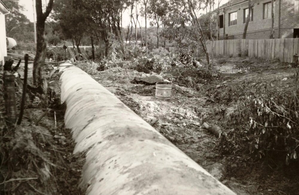 New Street, Balgowlah, on May 1950