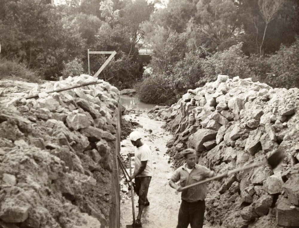 New Street pipeline, Balgowlah, May 1950