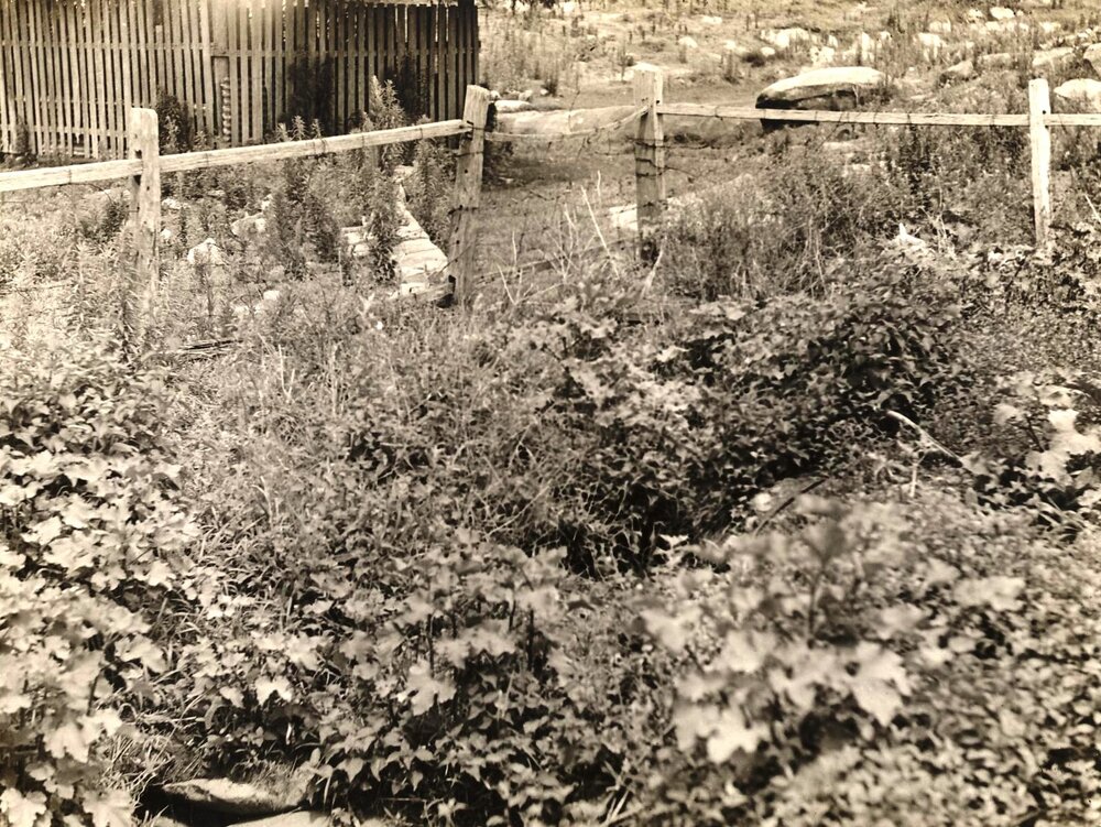 Nield Avenue, Balgowlah, 16th January 1940