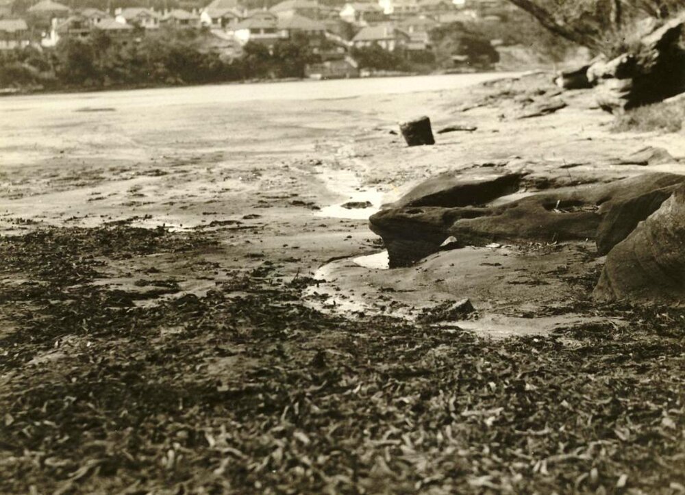 North Harbour from Falls, Balgowlah, 19th September 1936