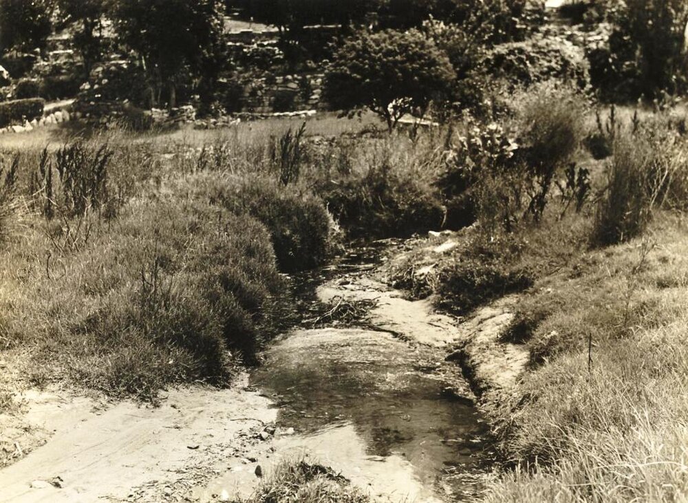 North Harbour Lot 22, Balgowlah, 20th January 1938