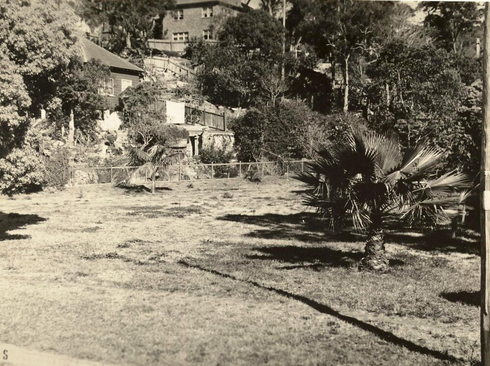 North Harbour Reserve, Balgowlah, 3rd September 1946