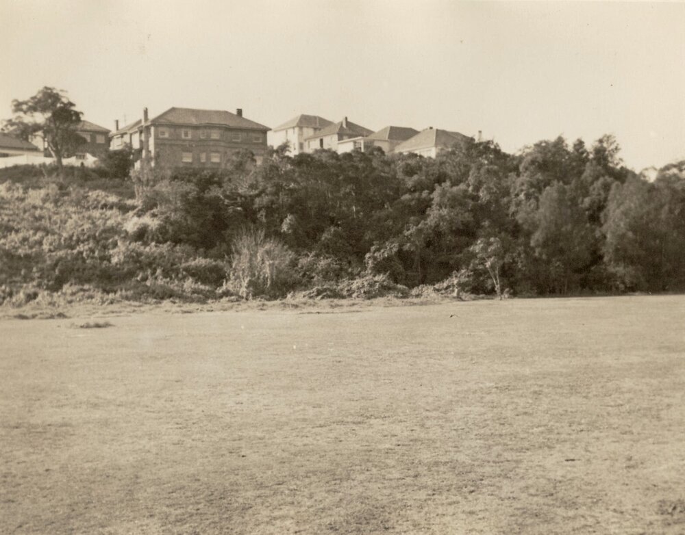 North Harbour Reserve, Balgowlah, June 1955