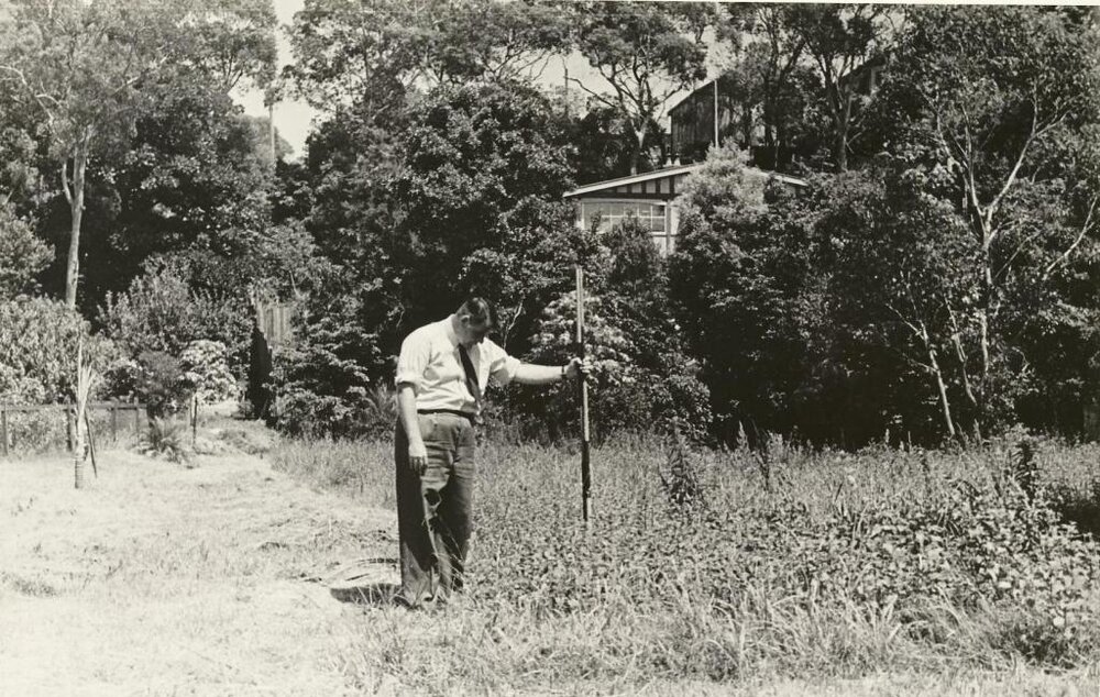 North Harbour Reserve, Balgowlah, 23rd January 1948