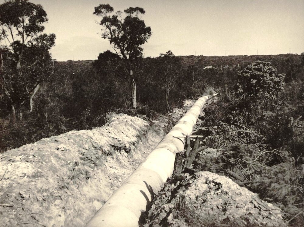 North of Hilder Road, Balgowlah Heights, September 1950