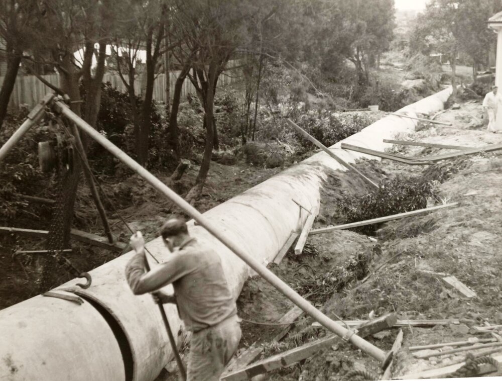 North of New Street, Balgowlah Heights, May 1950
