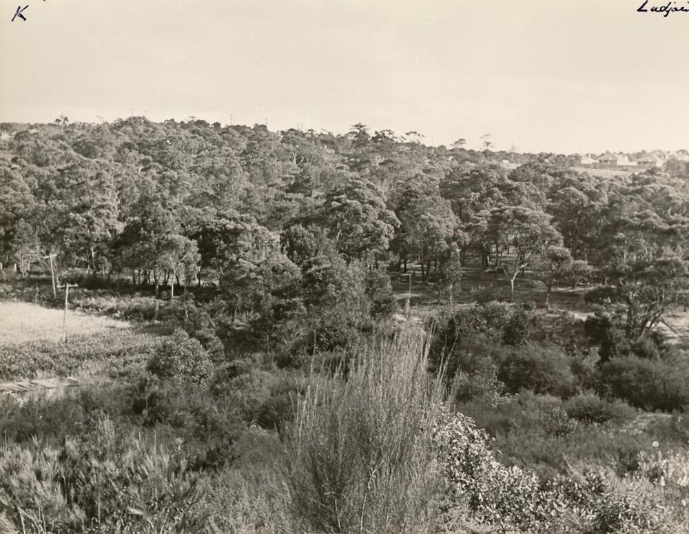 North Seaforth housing estate land, Seaforth, 30th June 1947