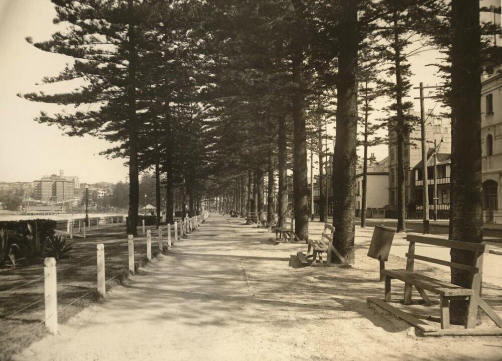North Steyne reserve, Manly, 22nd October 1931