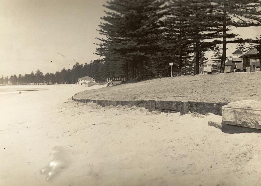 North Steyne reserve improvements, Manly, 14th September 1948