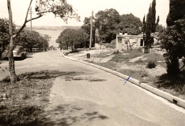 Old Sydney Road, Seaforth, 1954