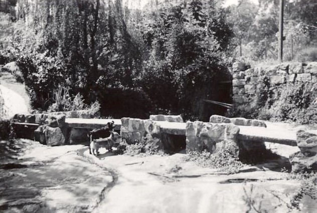 Overlooking Sangrado Street watercourse, Seaforth, 24th September 1959