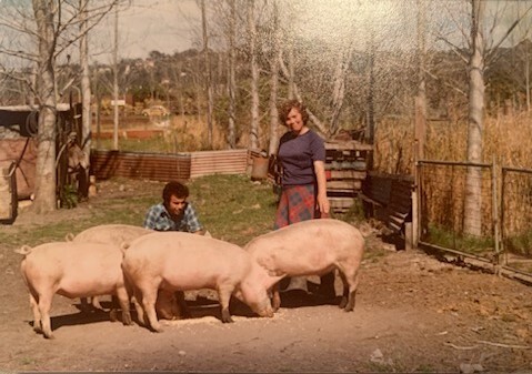 Consentino market garden, 21A Macpherson St Warriewood 