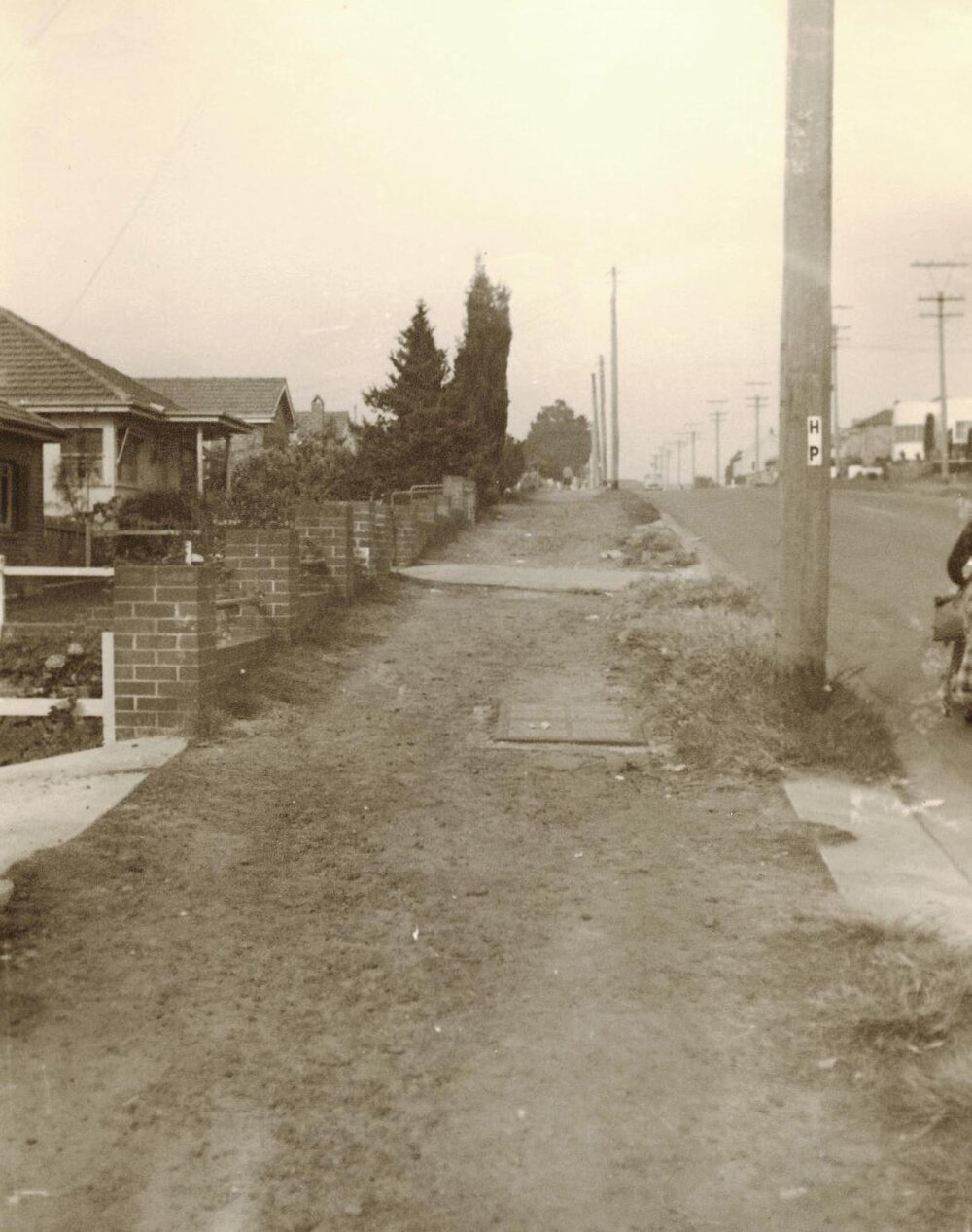Palmerston Place, Seaforth, 1955