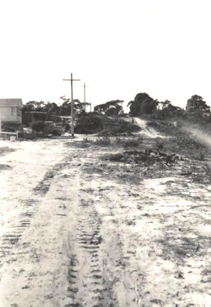 Peacock Street in Seaforth, September 1954
