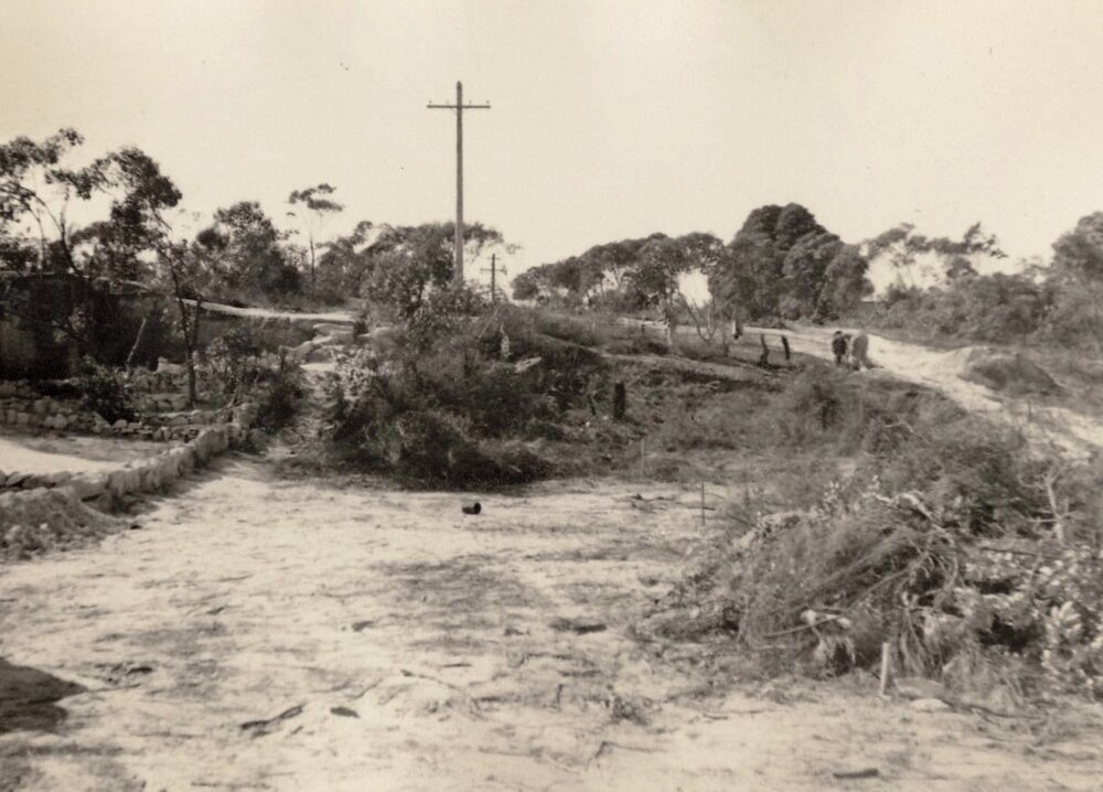 Peacock Street with contruction works continuing, Seaforth, September 1954