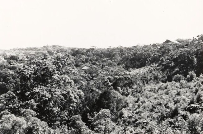 Peronne Avenue, aerial view in the vicinity, Clontarf, 1956
