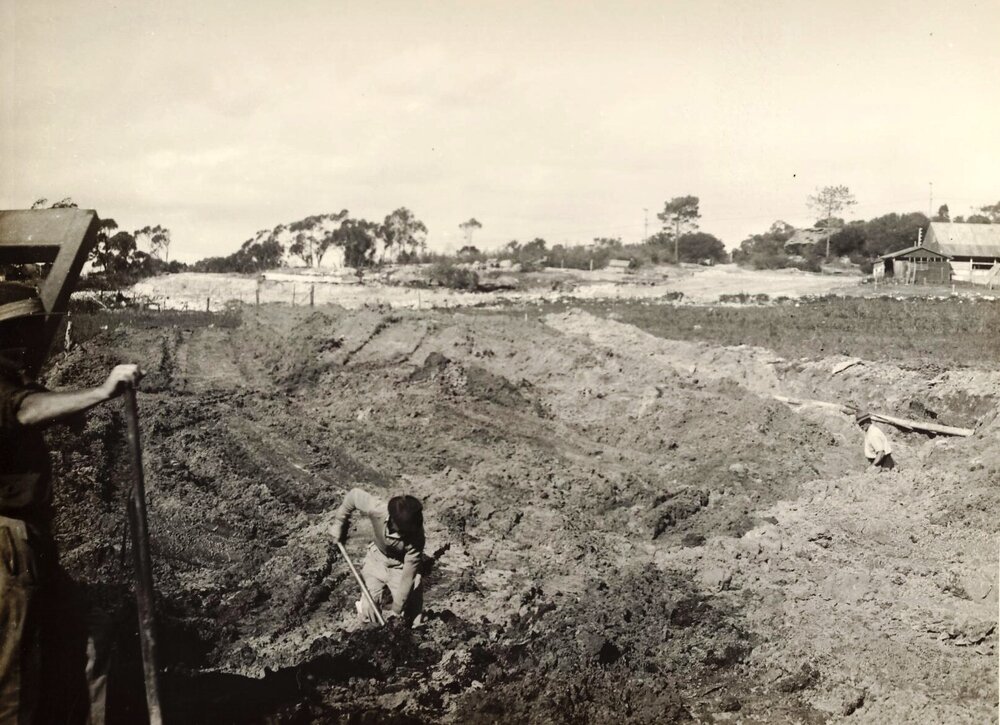 Phillip Avenue construction site and labourers, Seaforth, 24th July 1947